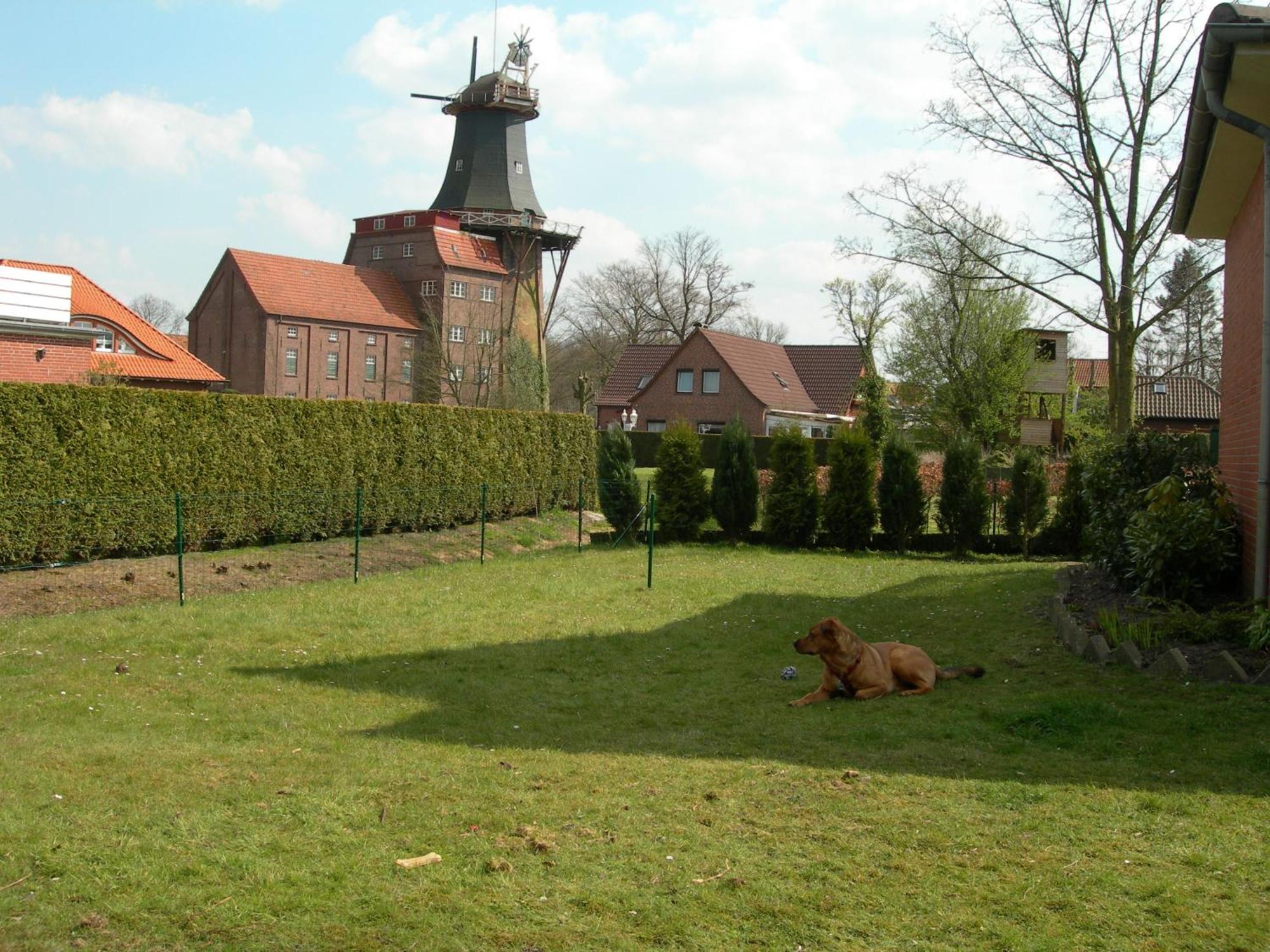 Apartament Krueger *