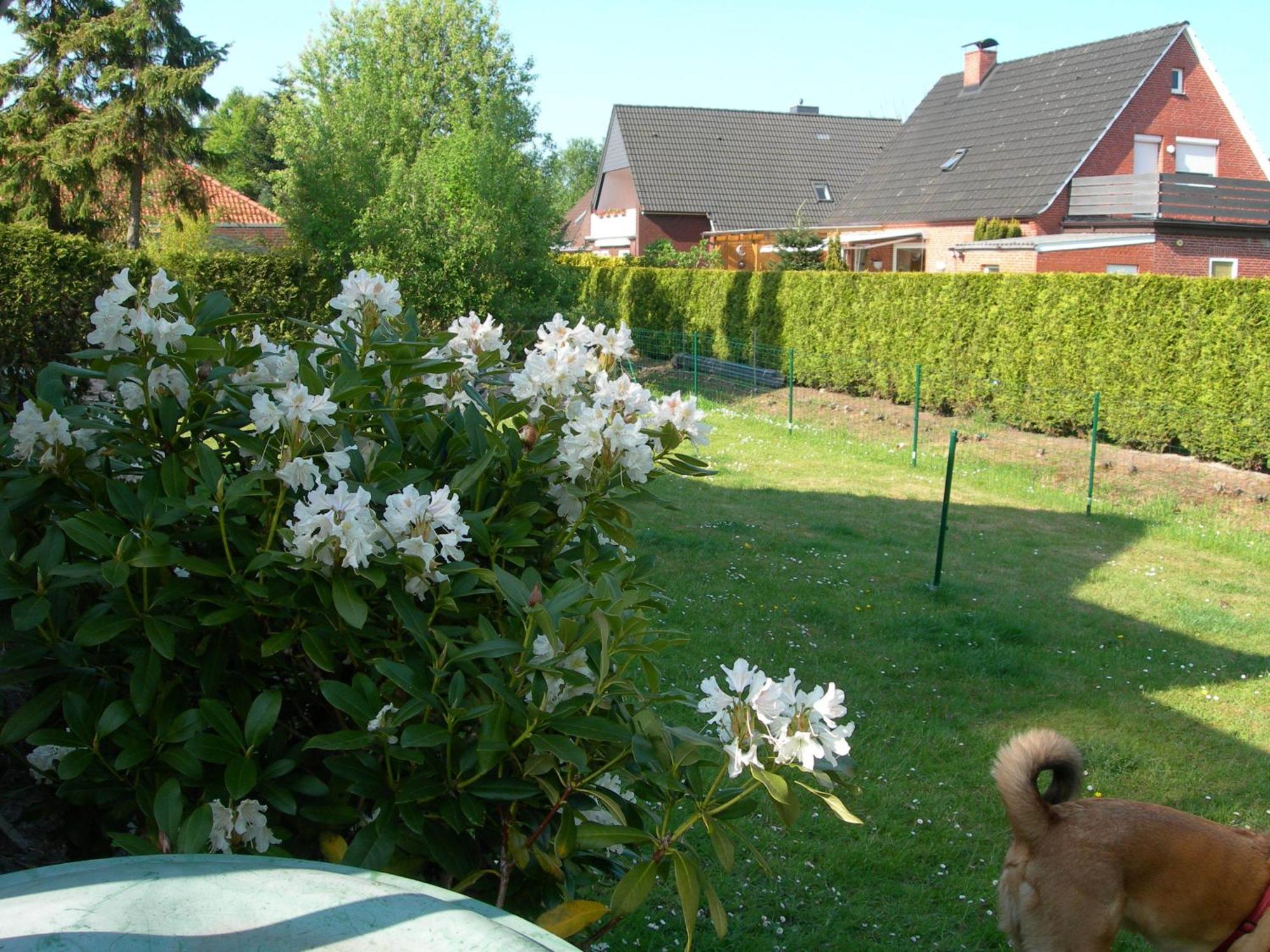 Apartment Krueger Hage